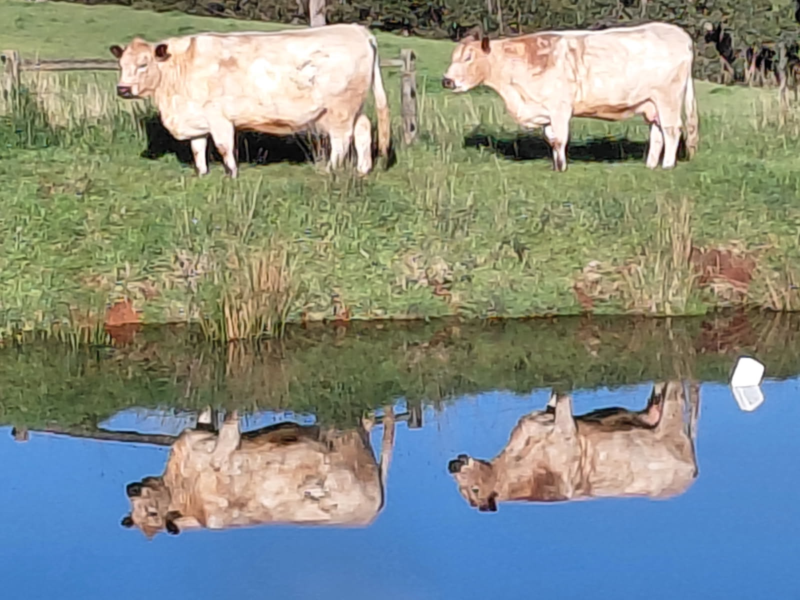 Perry's Farm image