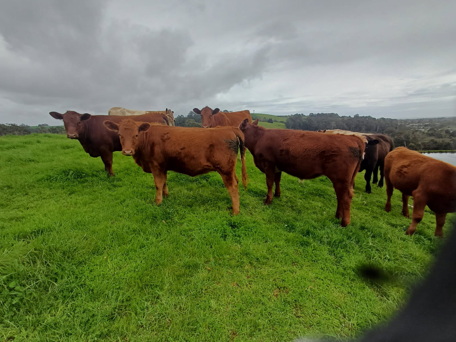 Perry's Farm image